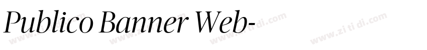 Publico Banner Web字体转换